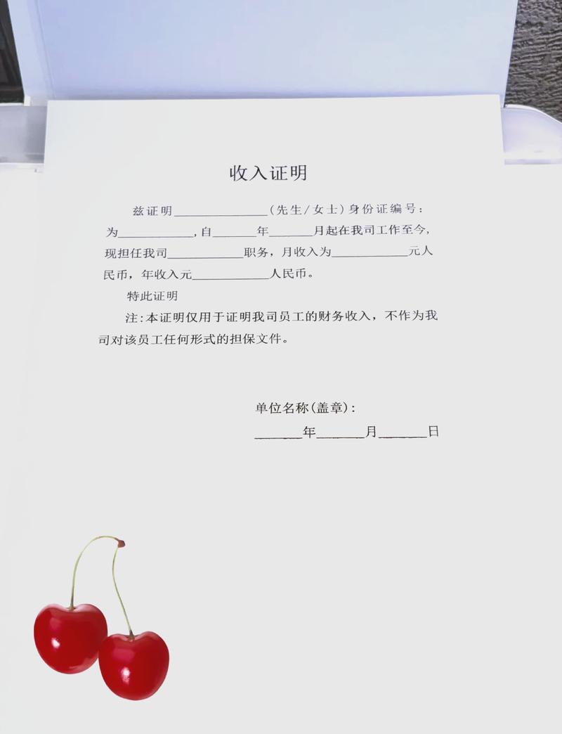 阳江代开收入证明的正确姿势：张会计的突围战